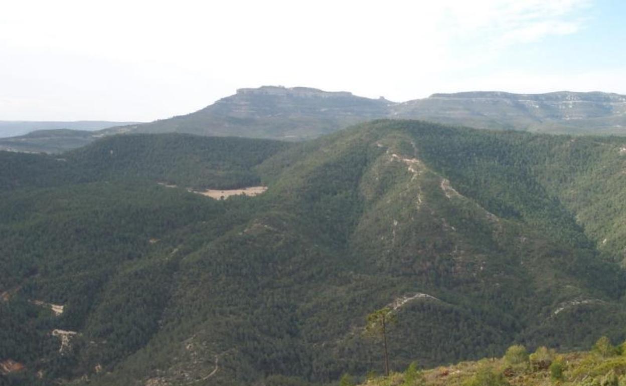 La fiesta se celebró en el paraje natural la Muela de Bicorp. 