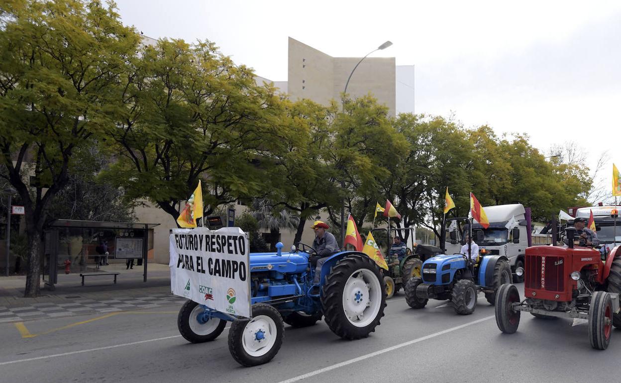 Participantes en la manifestación de este miércoles en Murcia. 