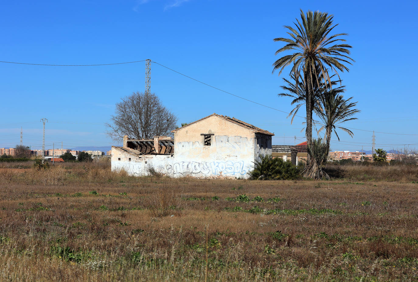 Diferencias. En l'Horta Sud proliferan cada vez más los campos abandonados y con maleza, mientras en l'Horta Nord se mantiene con primor donde se cultiva la chufa