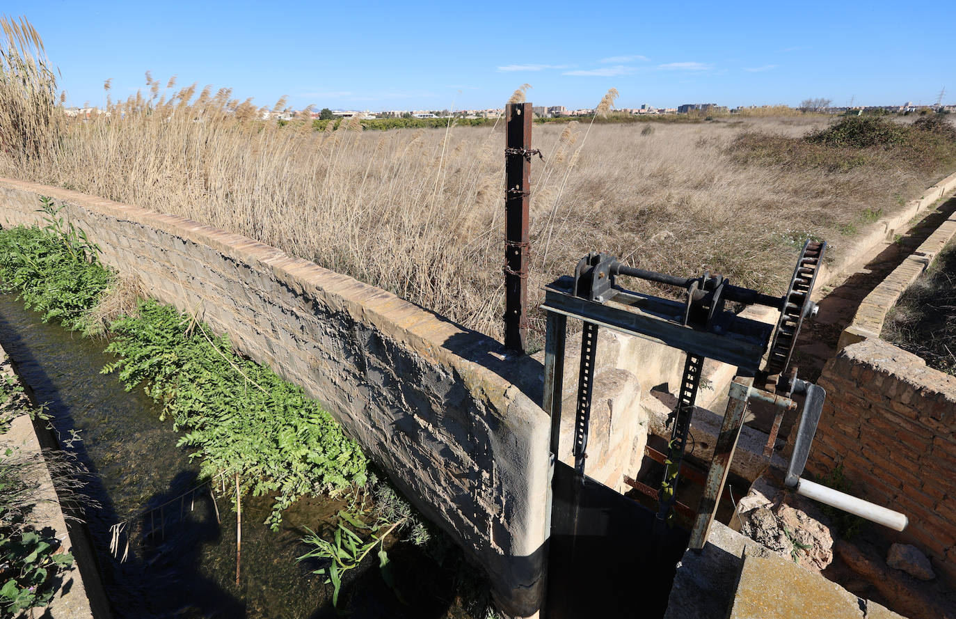 Diferencias. En l'Horta Sud proliferan cada vez más los campos abandonados y con maleza, mientras en l'Horta Nord se mantiene con primor donde se cultiva la chufa