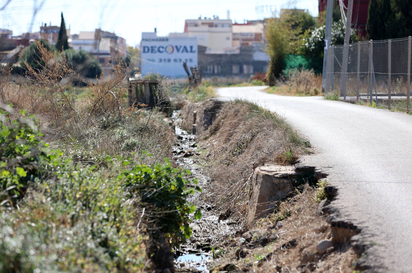 Diferencias. En l'Horta Sud proliferan cada vez más los campos abandonados y con maleza, mientras en l'Horta Nord se mantiene con primor donde se cultiva la chufa