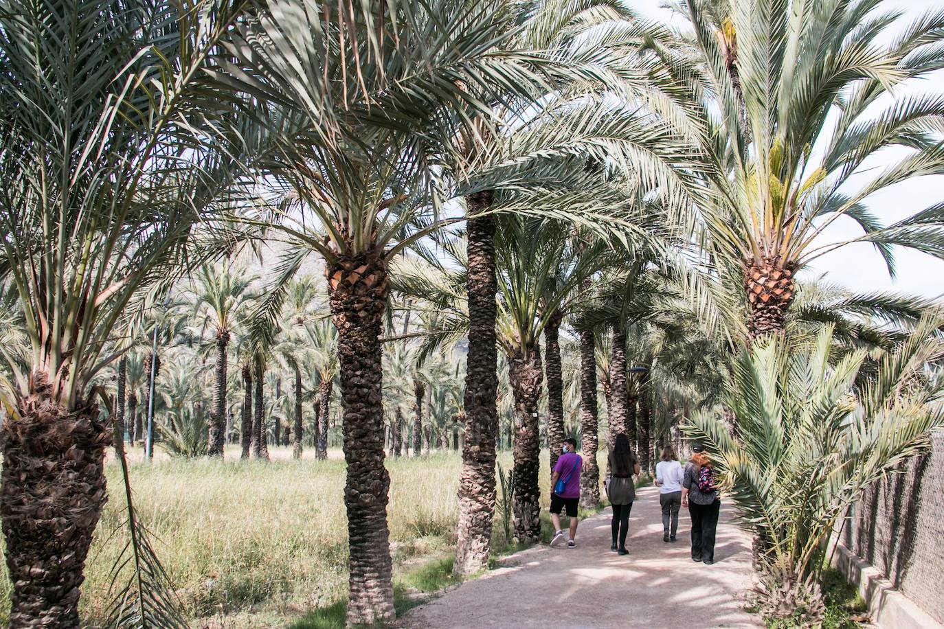 Imagen secundaria 2 - Orihuela: el pueblo de las rutas, con planes naturales y culturales para todos los gustos