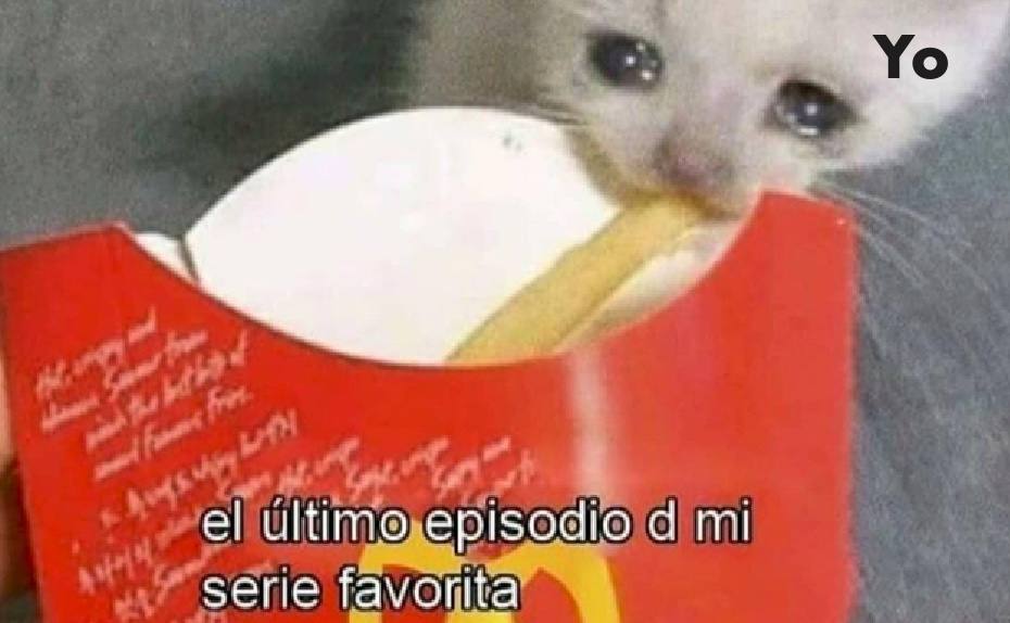 Las cosas simples del michi son, a veces, tan dramáticas como comerse la última patata frita