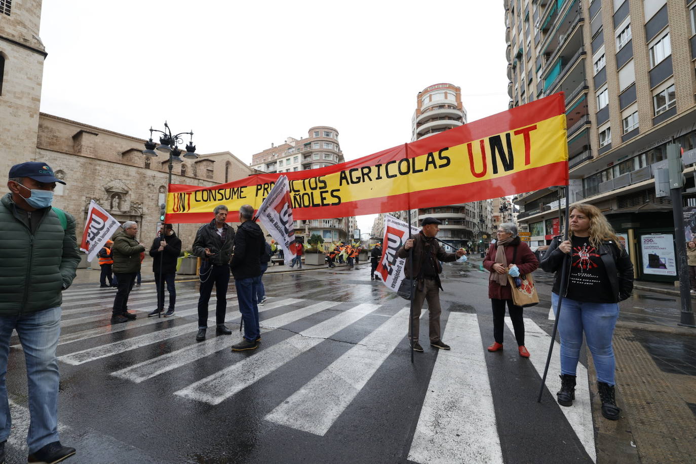 Fotos: Una tractorada recorre la ciudad de Valencia