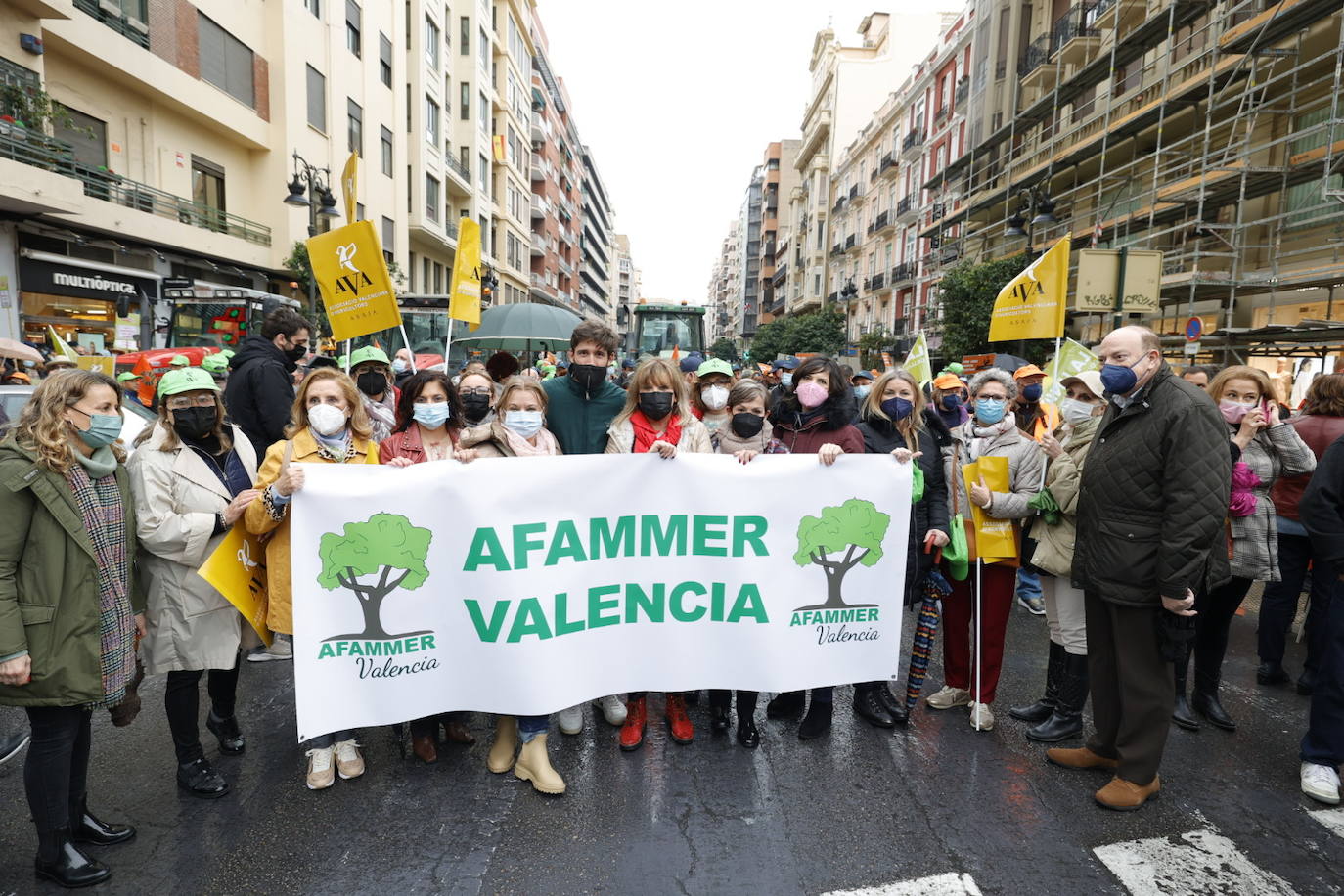 Fotos: Una tractorada recorre la ciudad de Valencia