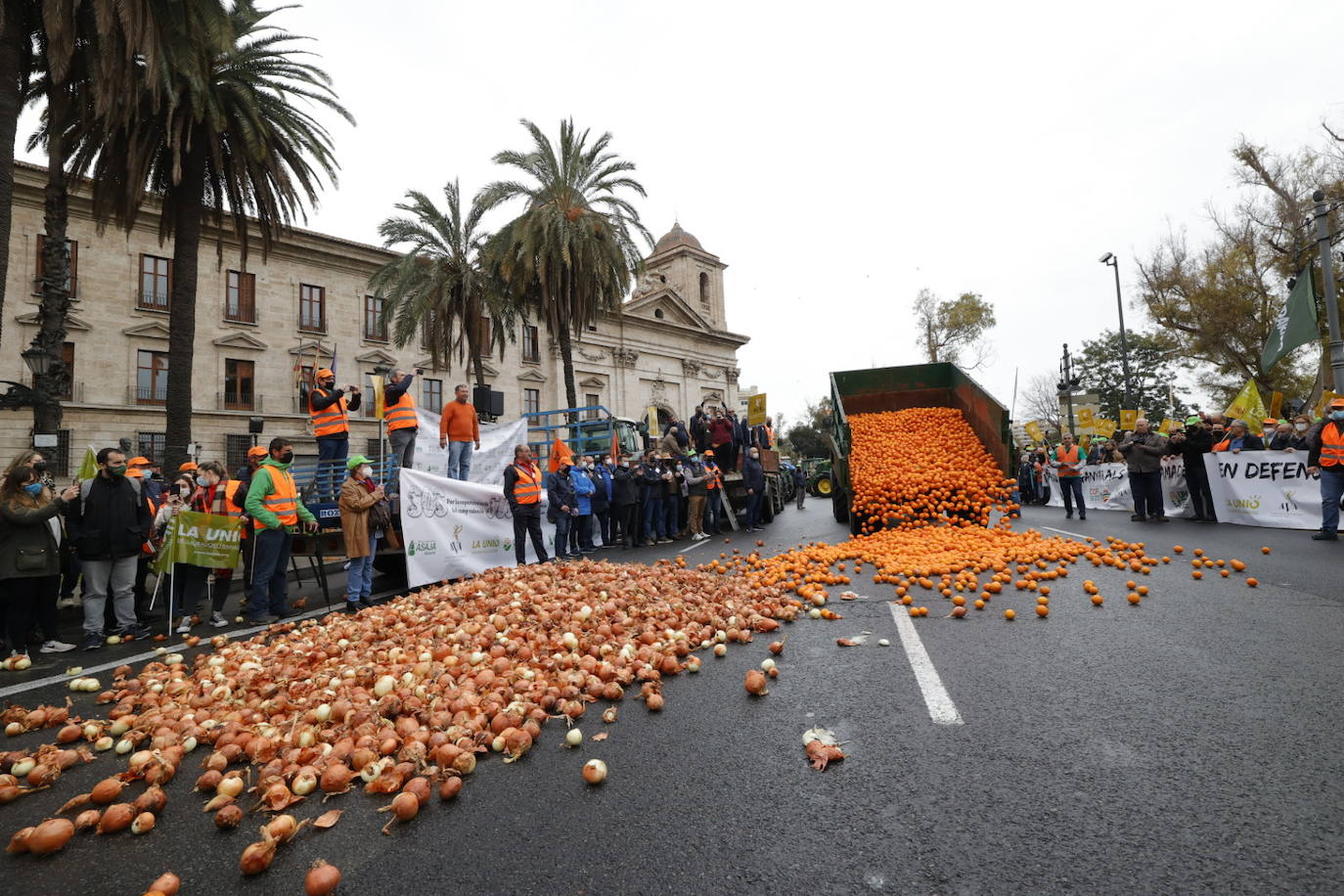 Fotos: Una tractorada recorre la ciudad de Valencia