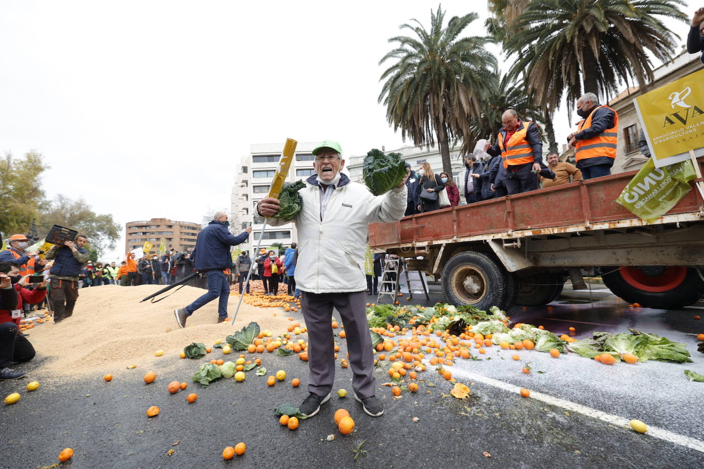 Fotos: Una tractorada recorre la ciudad de Valencia