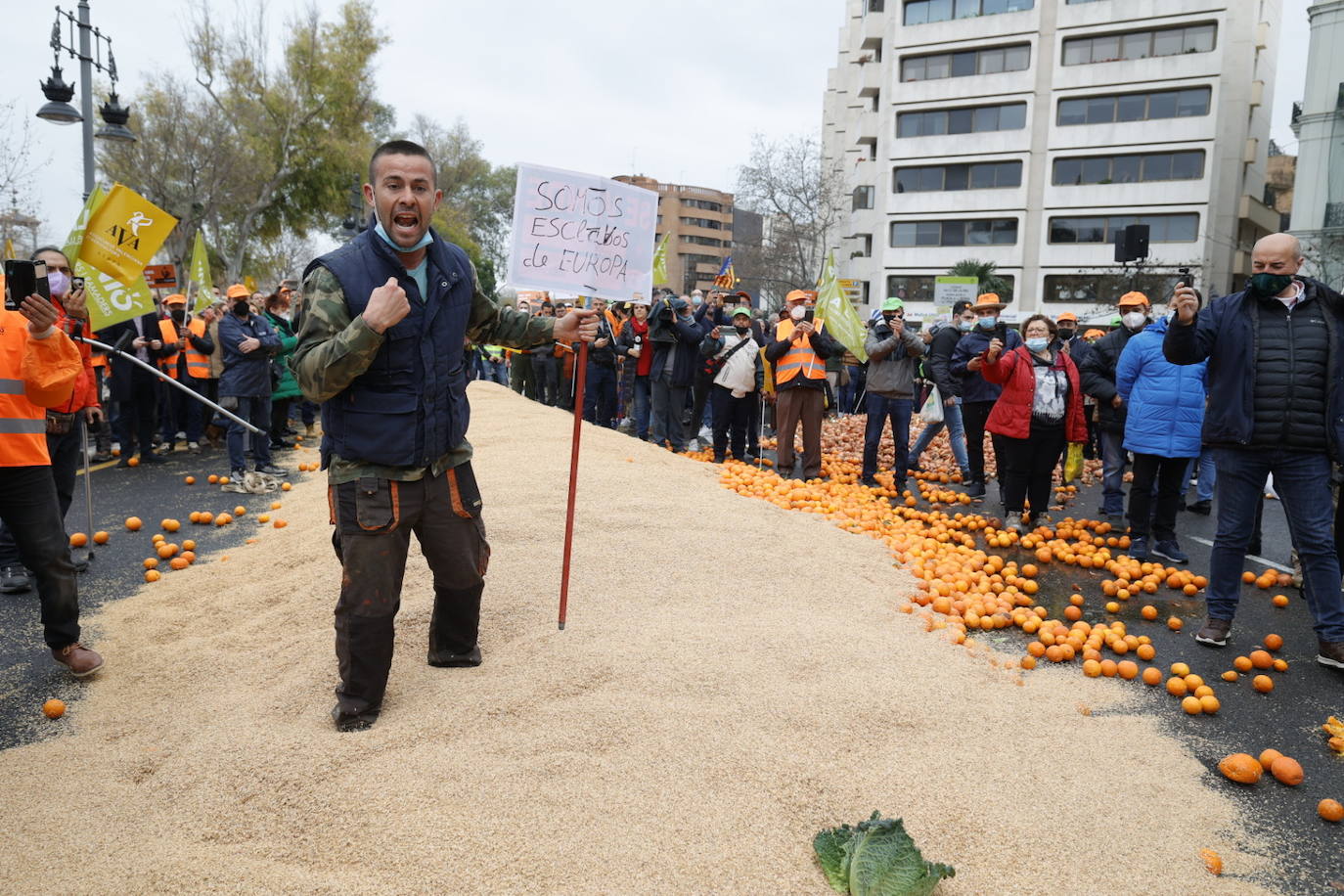 Fotos: Una tractorada recorre la ciudad de Valencia