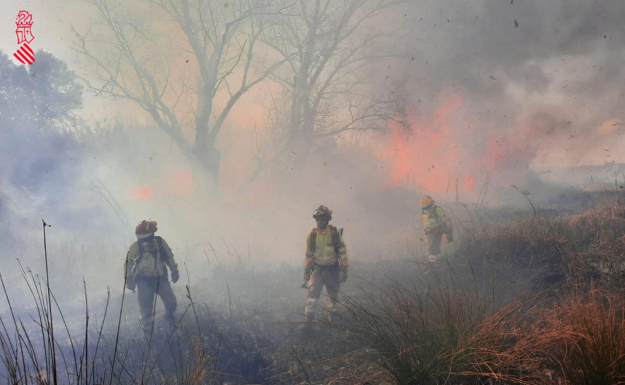 Bomberos trabajan en la extinción del fuego en Real.