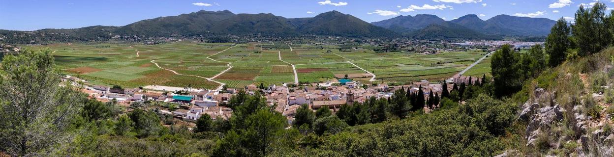 Panorámica de Bodegas Xaló desde Lliber. LP