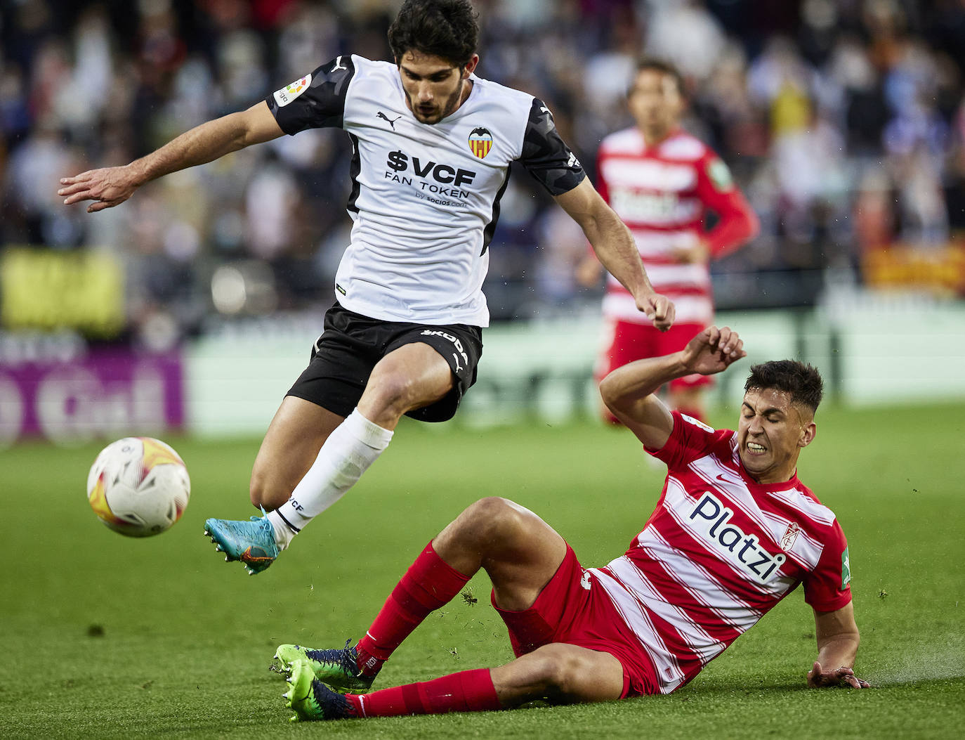 Fotos: Las mejores imágenes del Valencia CF-Granada CF