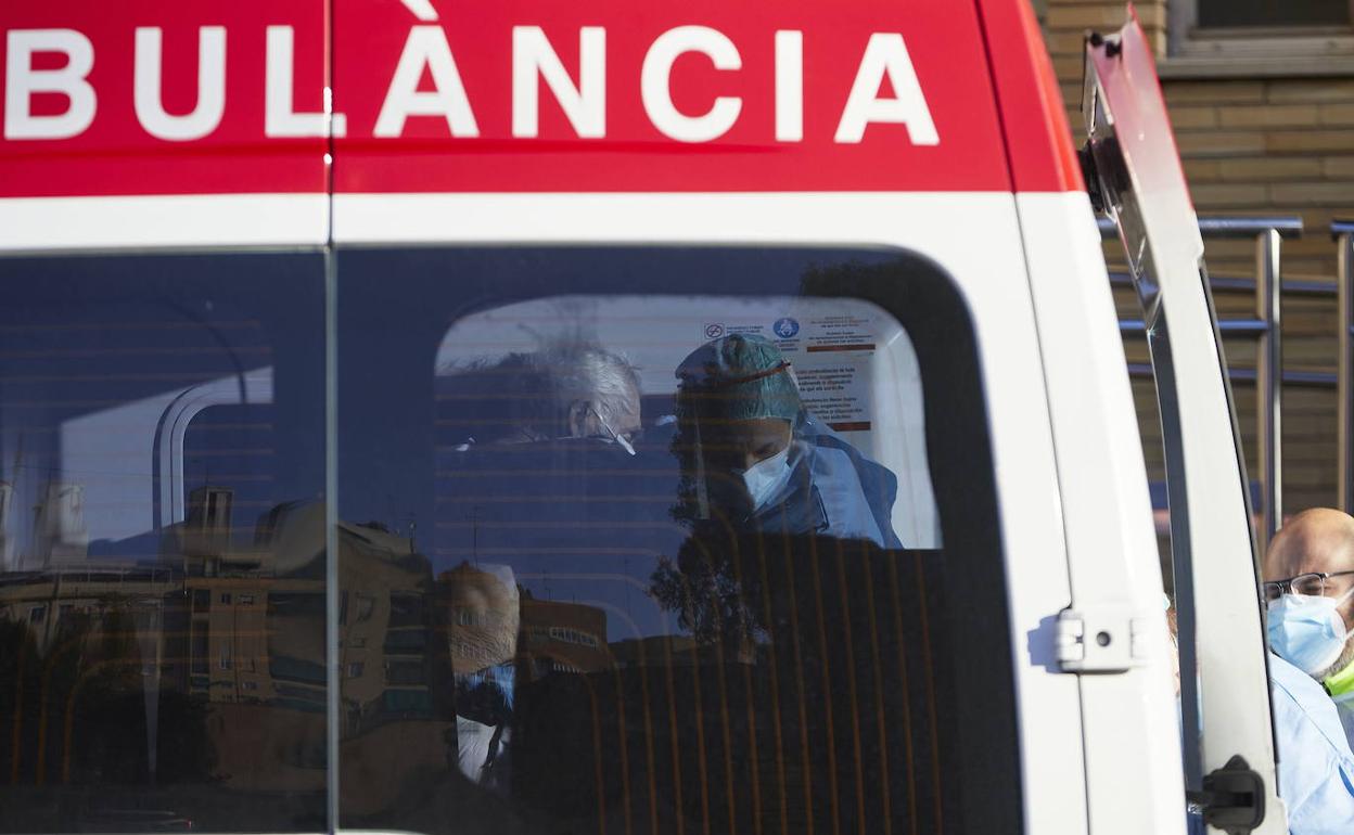 Las heridas han sido trasladadas al hospital de Orihuela. 