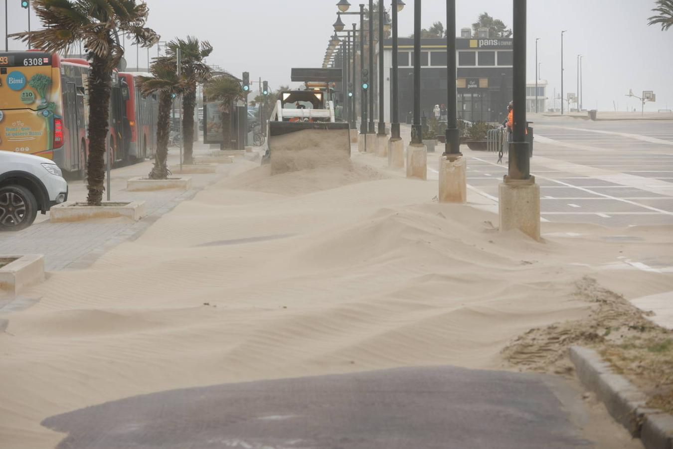 El paseo marítimo se ha llenado de arena por el temporal de viento en Valencia este 15 demarzo. 