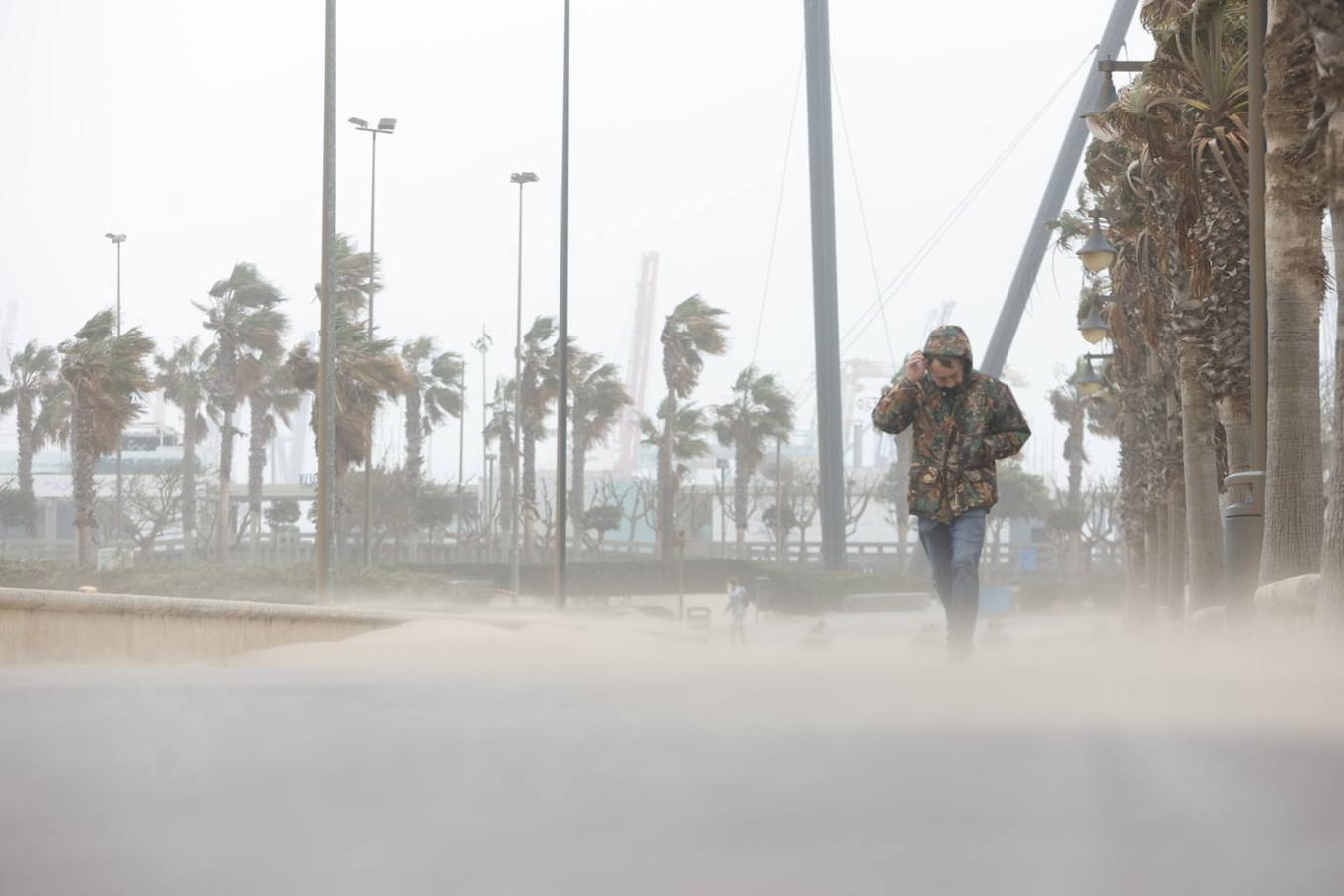 El paseo marítimo se ha llenado de arena por el temporal de viento en Valencia este 15 demarzo. 