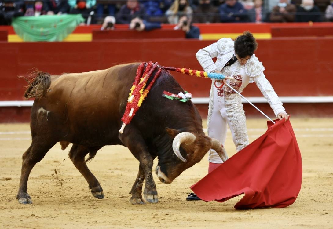 Este miércoles se ha reanudado la Feria Taurina de Fallas 2022 en la Plaza de Toros de Valencia. Han hecho el paseíllo los novillos de El Pilar para 'El Niño de las Monjas', Álvaro Alarcón y Manuel Perera.