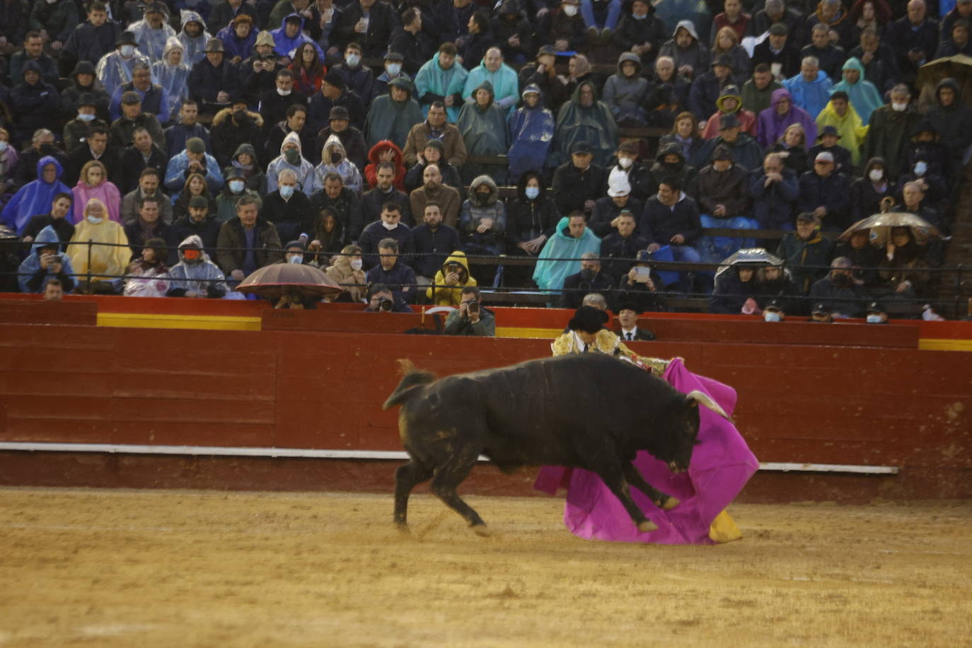 Fotos: Corrida de toros de las Fallas 2022: jueves 17 de marzo