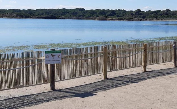 Protección de la ribera del lago artificial. 