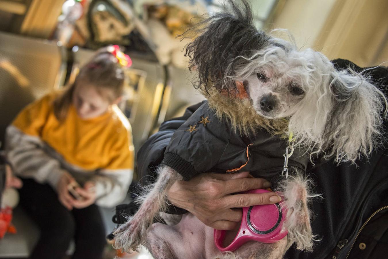 Este perro hace las delicias de los niños con sus monerías en la estación.