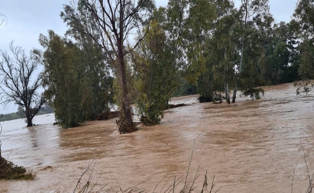 Inundaciones en l'Alcúdia por desbordamiento del barranco Matamoros. 