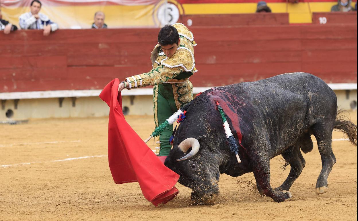 Toros en Castellón. 