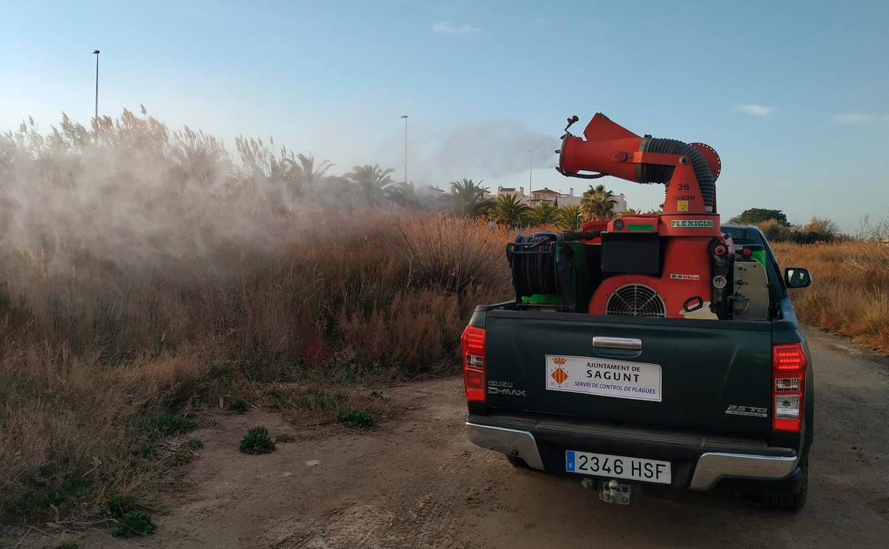 Tratamiento contra los mosquitos en Sagunto. 