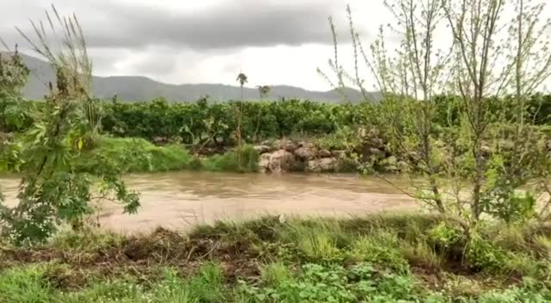 Los efectos del temporal en Tavernes