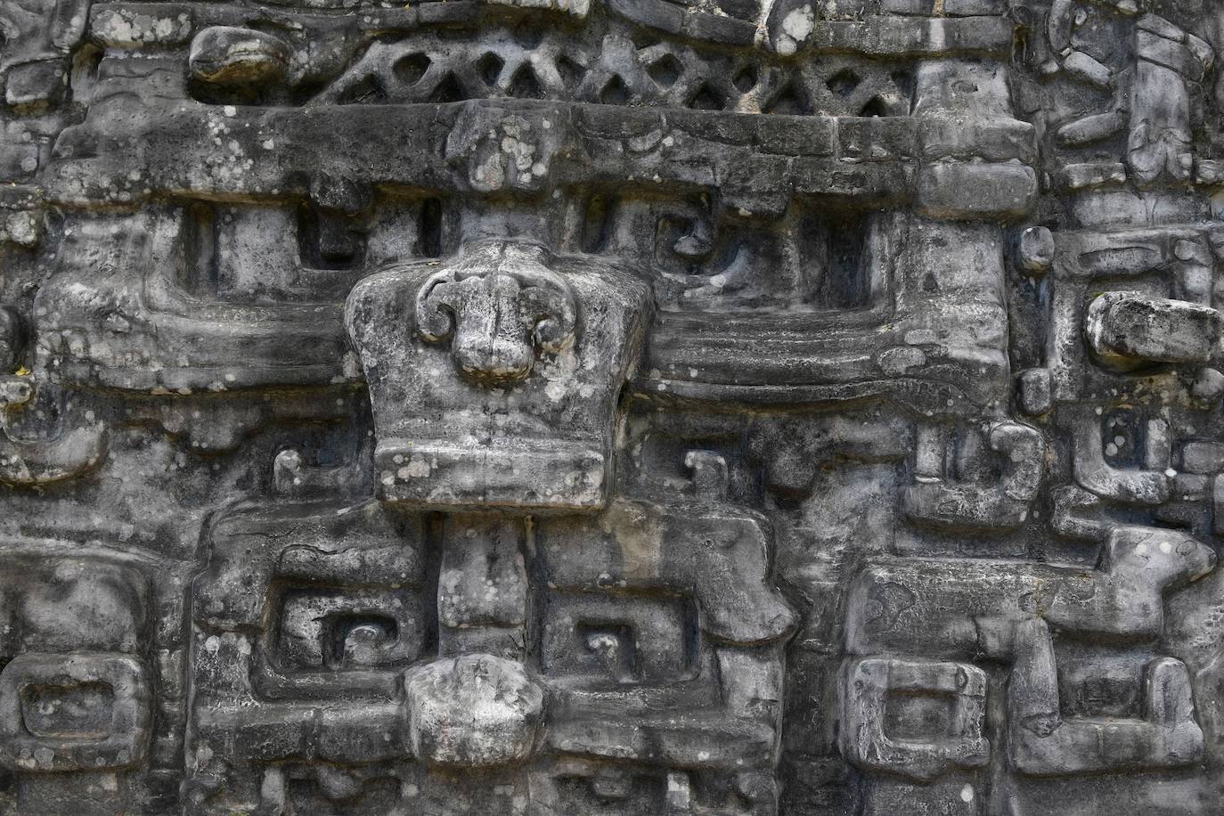 Muchos de los turistas que se desplazan hasta Belice lo hacen para bucear en su asombrosa barrera de coral, sin embargo este país de la costa este de América Central cuenta con una gran cultura maya. Se estima que en Belice existen más de 900 importantes restos arqueológicos de esta importante civilización antigua. Los mayas estuvieron presentes allí desde el 2000 a. C. Vivían especialmente en pantanos costeros, habitaban cayos y explotaban la riqueza de las montañas, celebrando sus ceremonías en el interior de cuevas. Como si fueran unos visitantes más, el príncipe Guillermo y su esposa, la duquesa de Cambridge, se han adentrado en la selva del país con una visita a Caracol, una ciudad maya de la época precolombina que ha sido designada como una reserva arqueológica y que está ubicada en el distrito Cayo. 