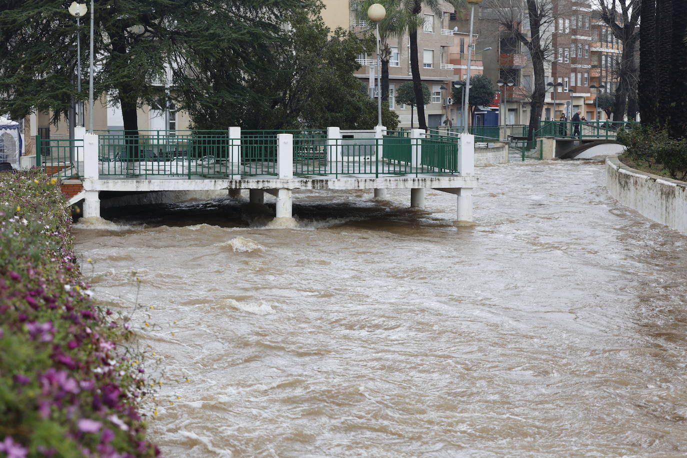 Tras nueve días consecutivos de lluvia, el río Vaca, a su paso por Simat de Valldigna, se ha desbordado. 