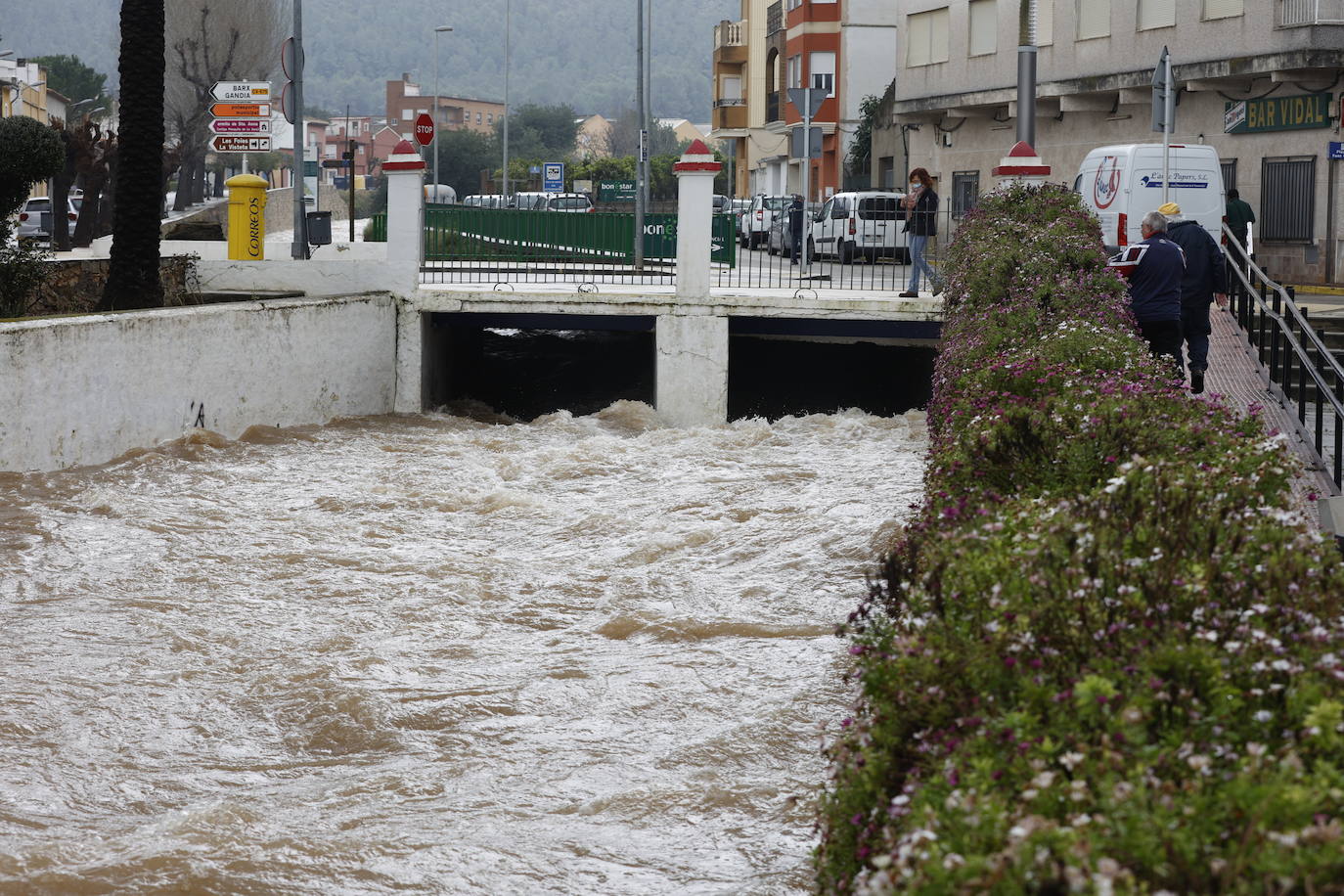 Tras nueve días consecutivos de lluvia, el río Vaca, a su paso por Simat de Valldigna, se ha desbordado. 