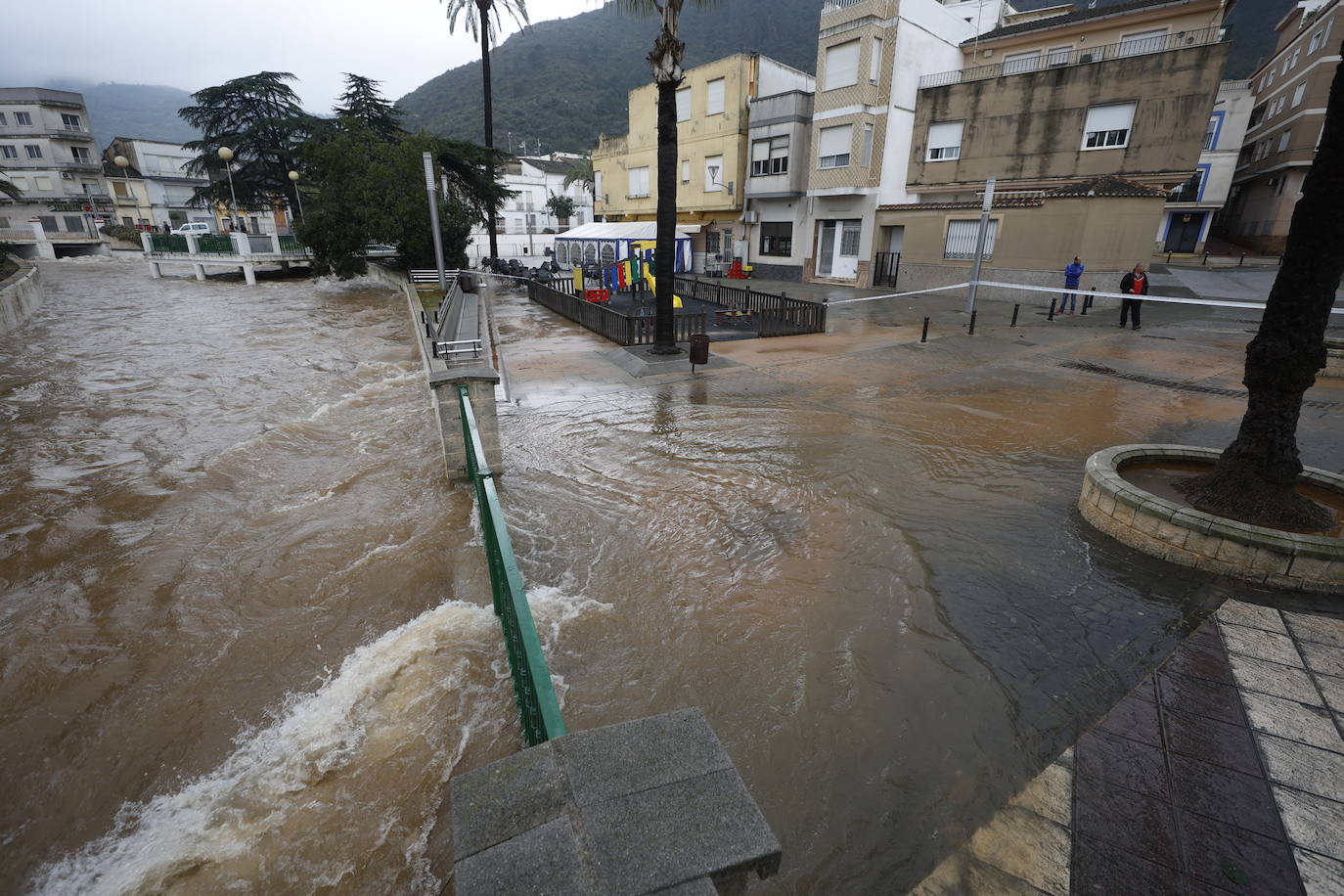 Tras nueve días consecutivos de lluvia, el río Vaca, a su paso por Simat de Valldigna, se ha desbordado. 