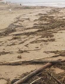 Imagen secundaria 2 - Desembocadura del río Serpis en Gandia, daños en viviendas de primera línea de Tavernes y estado de la costa en Daimús. 