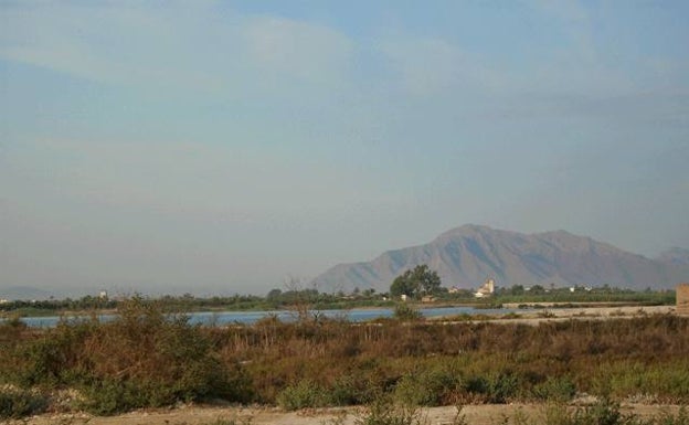 Vista de la laguna, los humedales y la diversa vegetación del Parque Natural de El Fondo. 