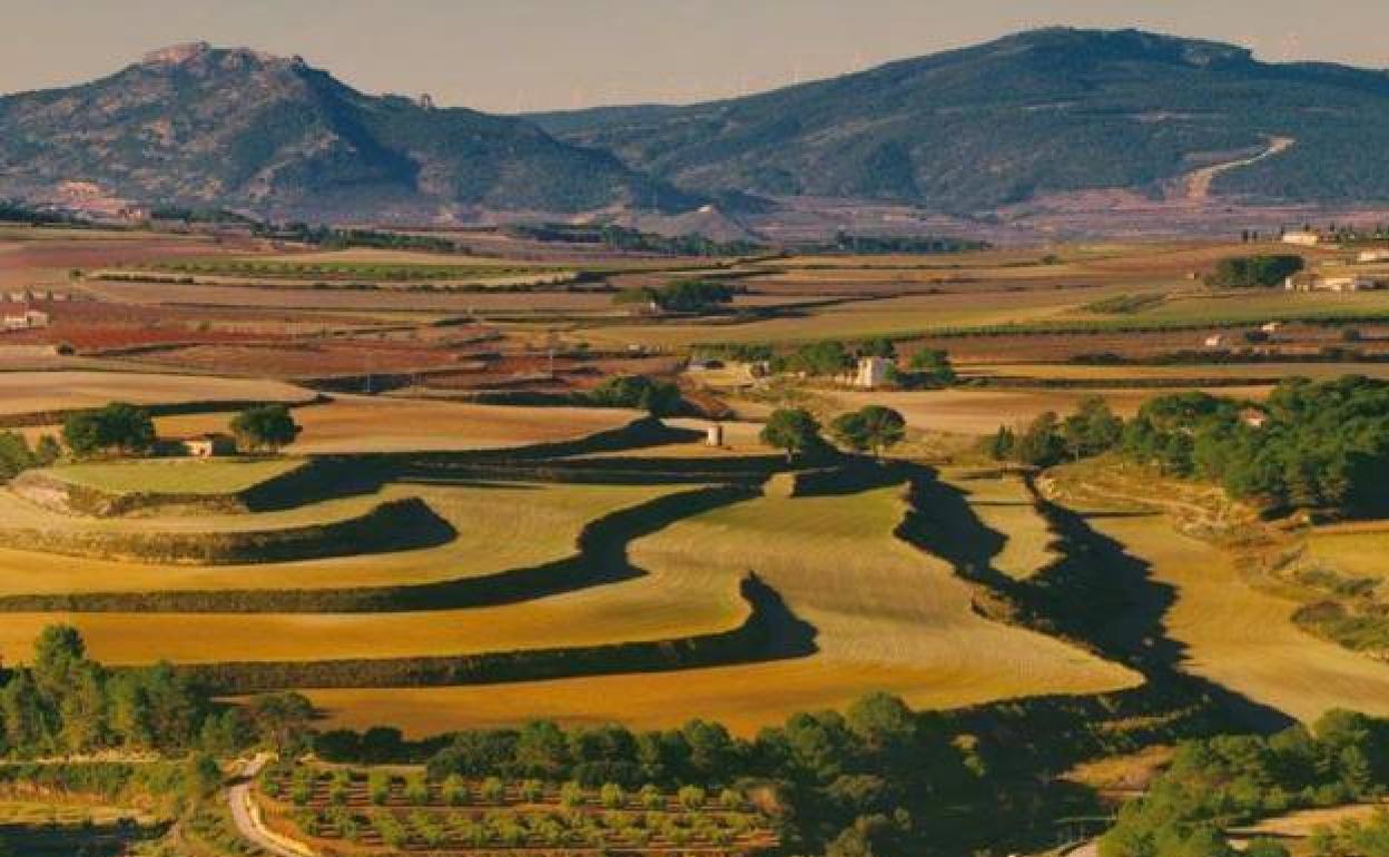 El Gobierno rechaza la instalación de dos plantas solares en la Font de la Figuera