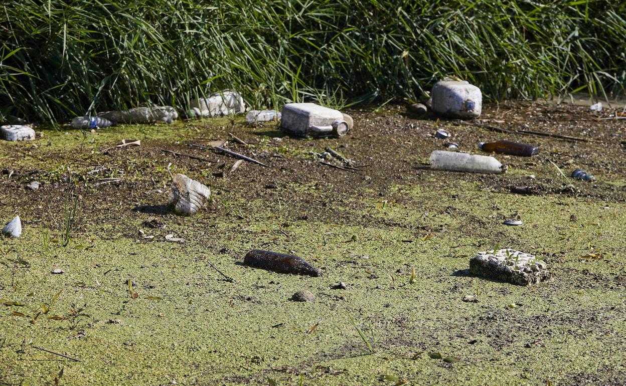 Suciedad en una acequia de la Albufera. 