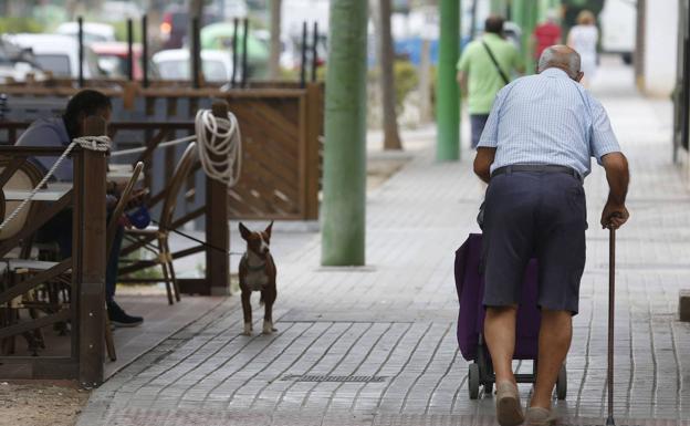 Las pensiones que puedes recibir si no has cotizado 15 años