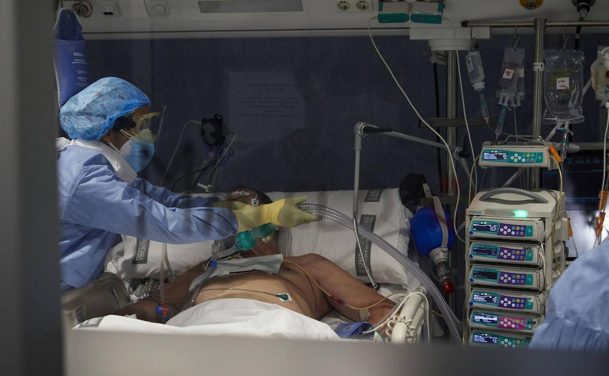 Sanitarios atienden a un enfermo de Covid en la UCI de un hospital valenciano.