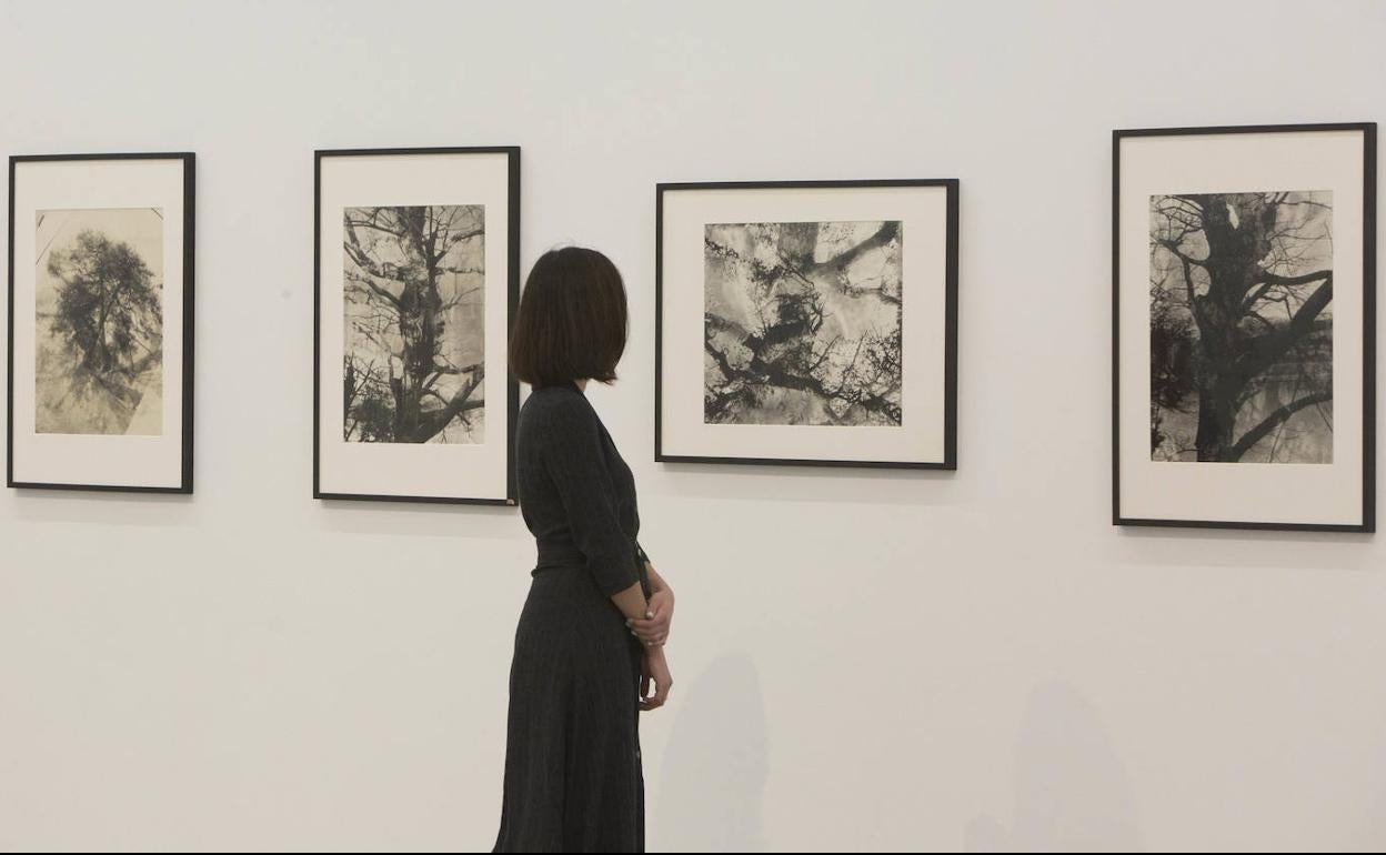 Vista de la exposición dedicada al artista japonés. 