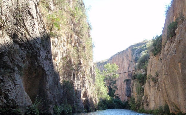 Vista del puente colgante, el agua y la vegetación. 