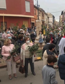 Imagen secundaria 2 - Procesiones del Domingo de Ramos de Alzira, Turís y Benifaió. 