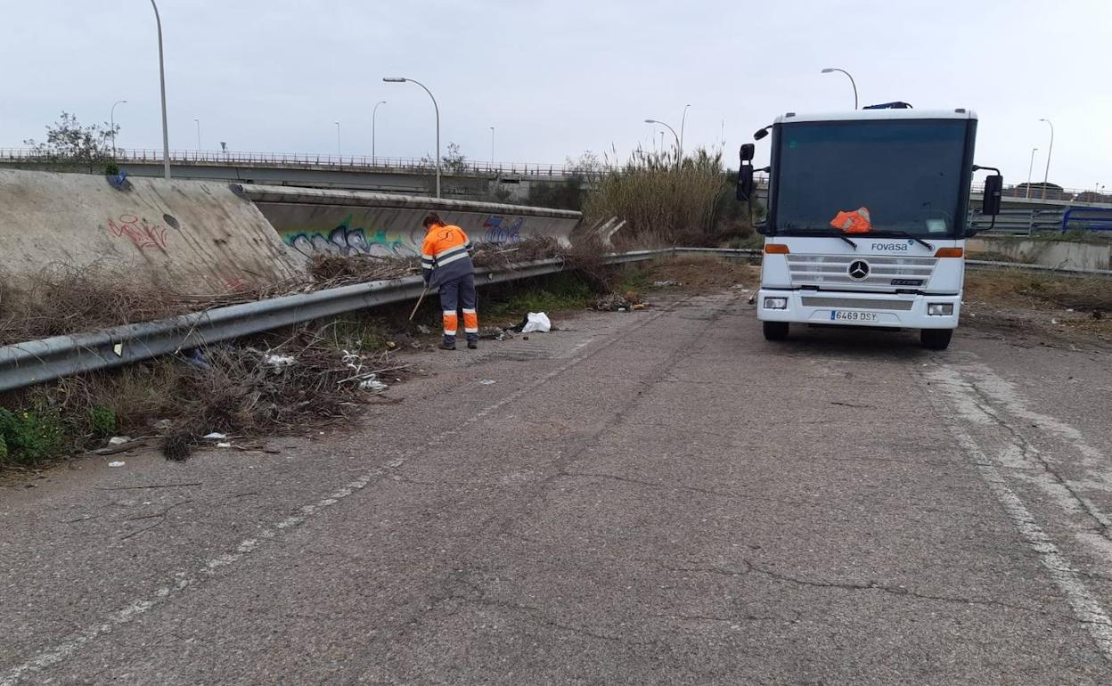 Limpieza de basura de un vertedero ilegal en Valencia. 