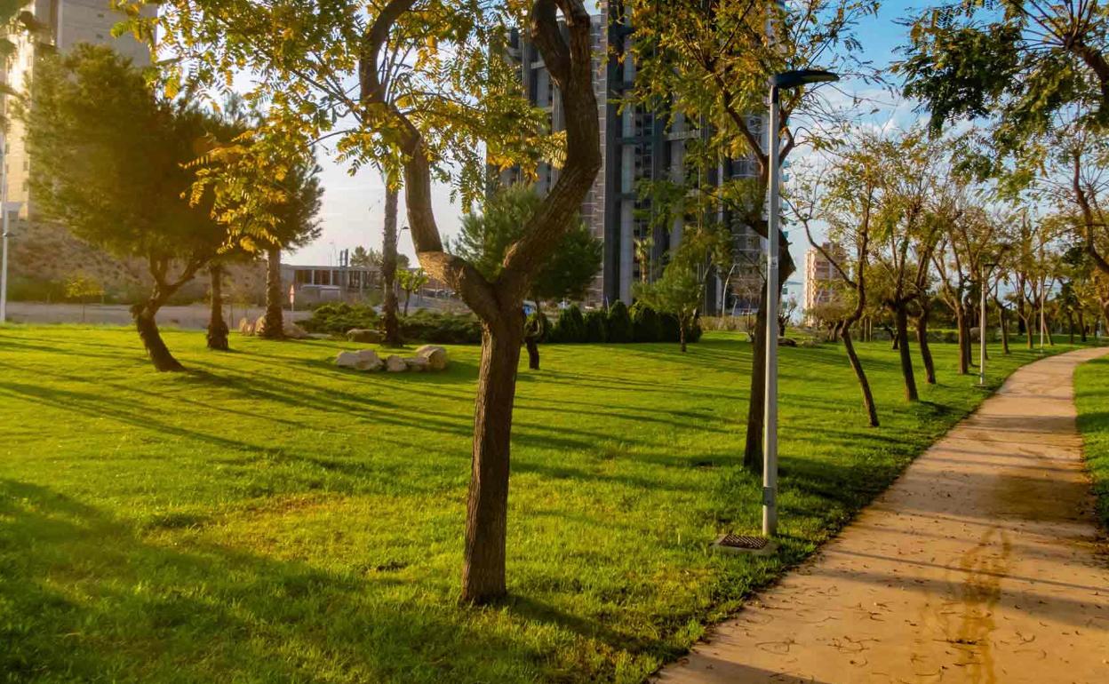 Imagen del nuevo jardín inaugurado en Benidorm