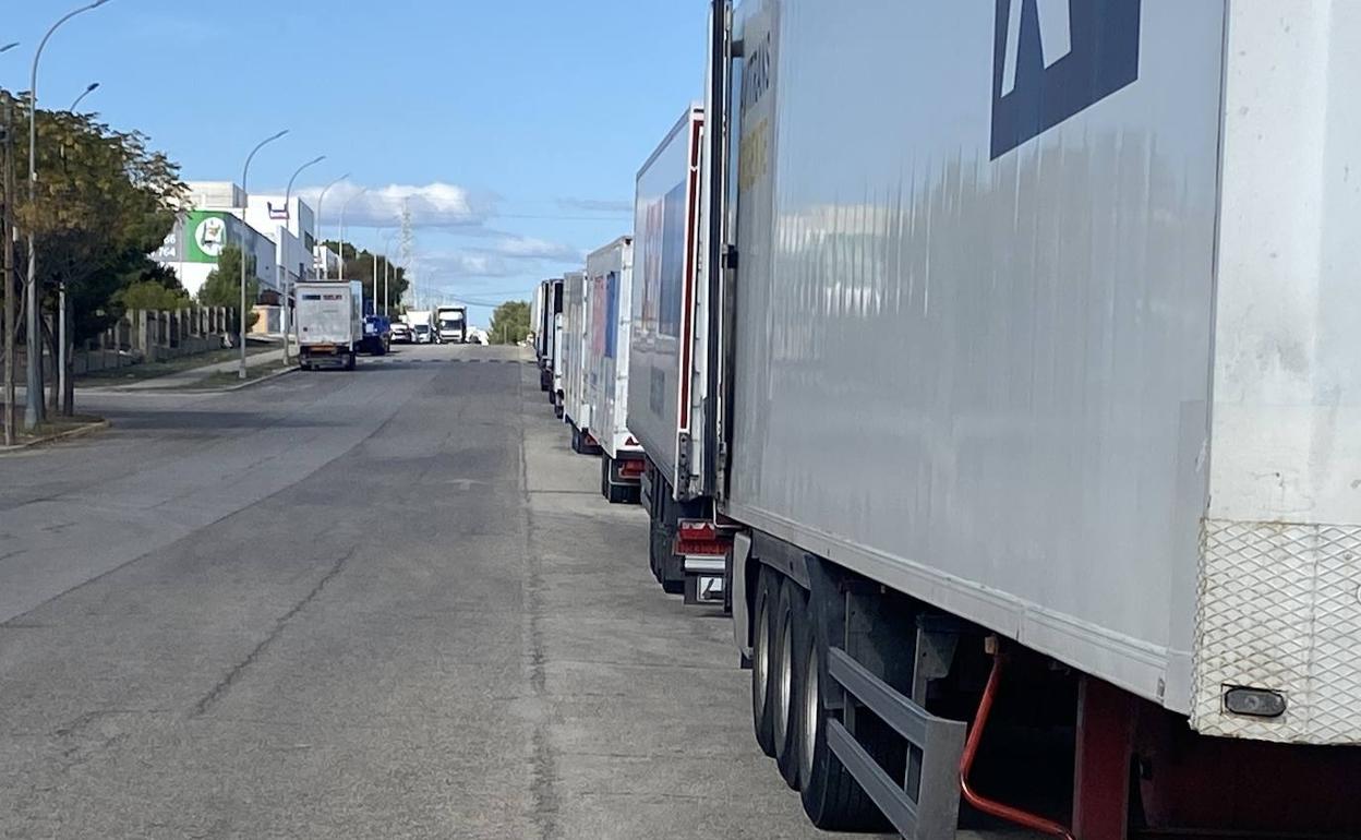 Los camiones aparcados en una de las calles del área industrial. 