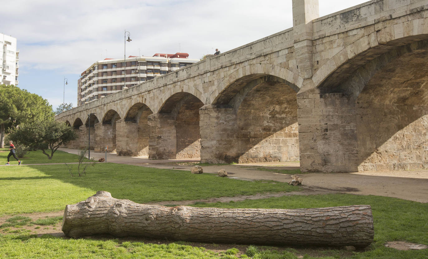 Fotos: El deterioro del Jardín del Turia de Valencia