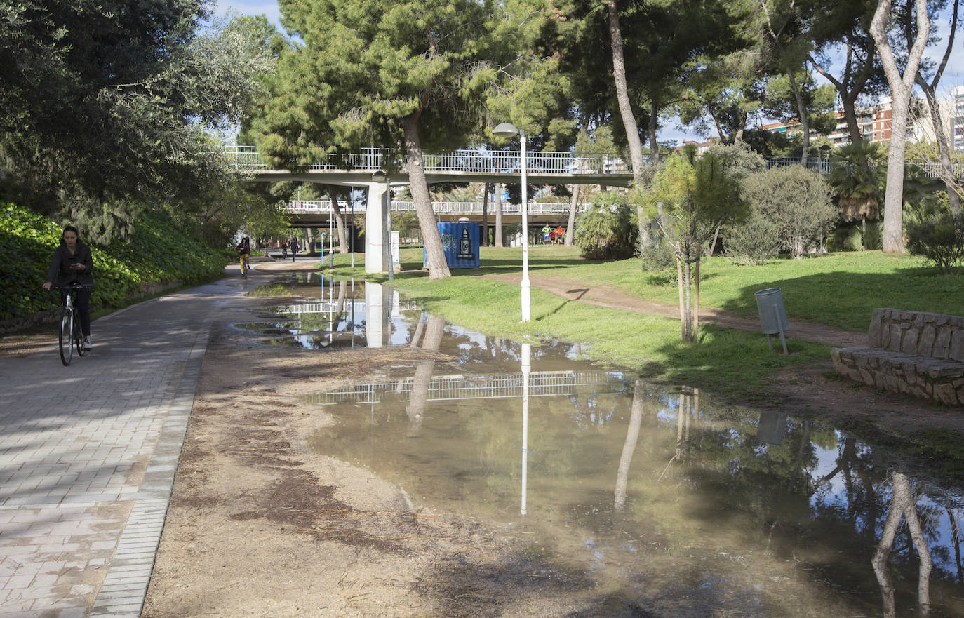 Fotos: El deterioro del Jardín del Turia de Valencia