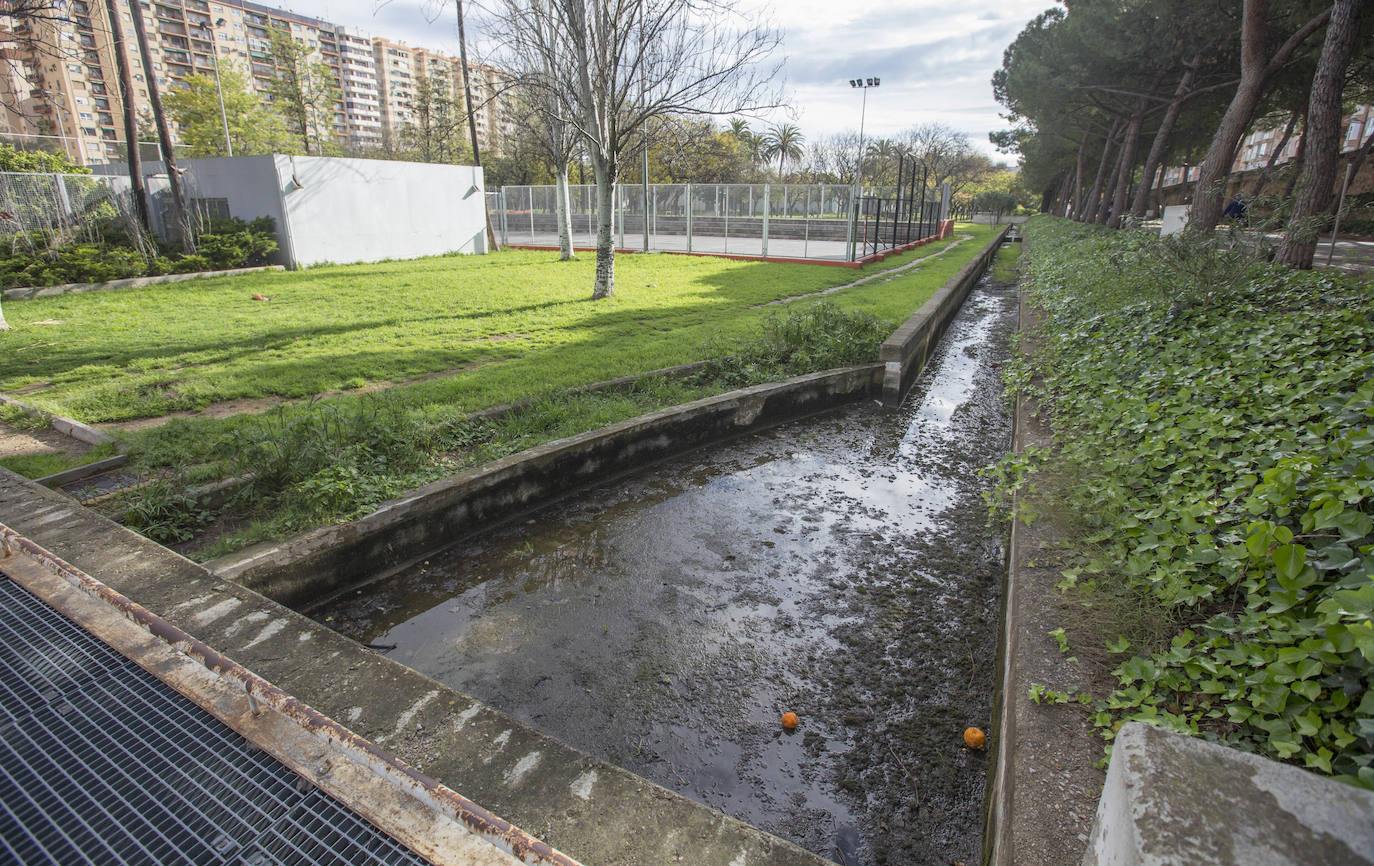 Fotos: El deterioro del Jardín del Turia de Valencia