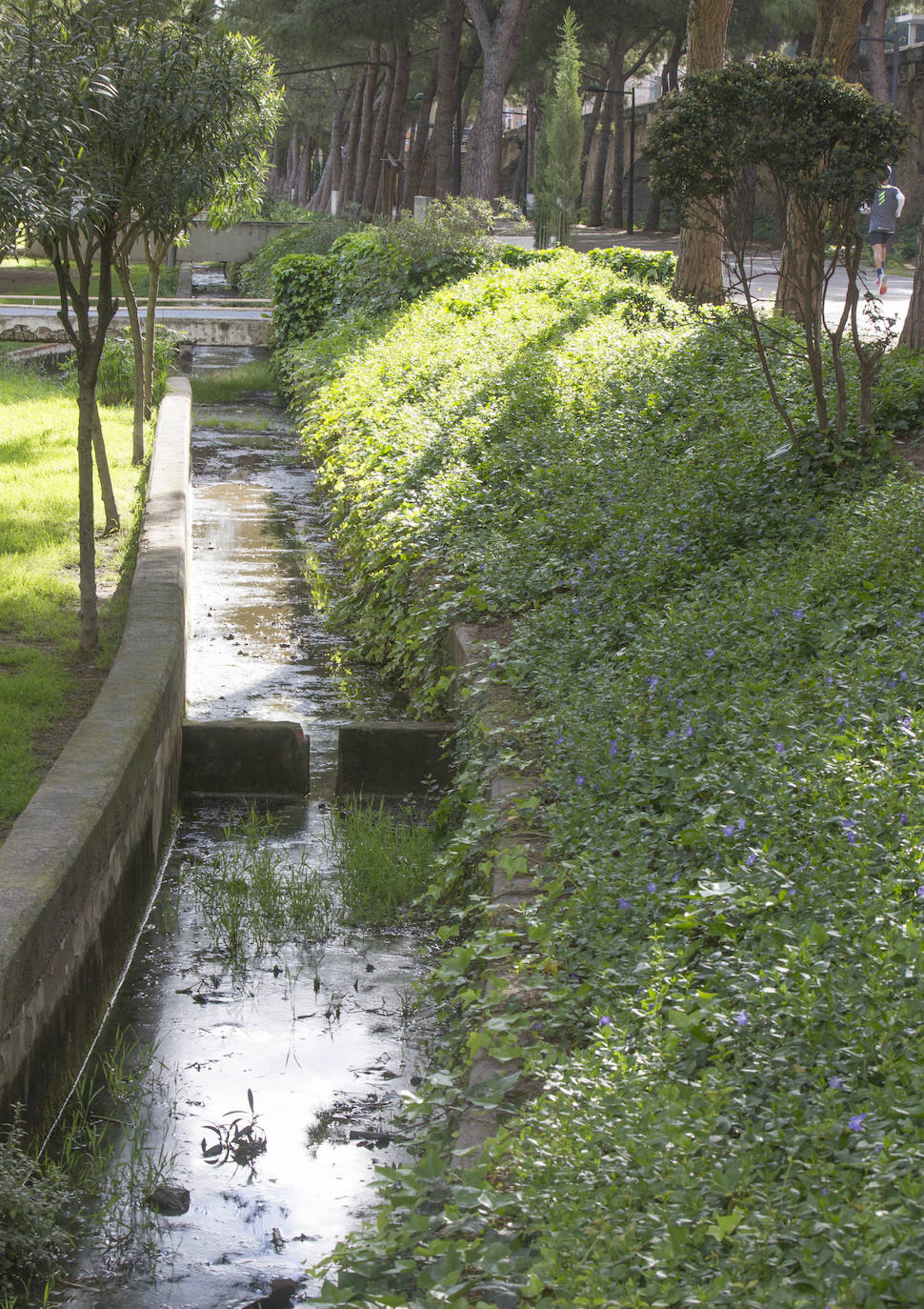 Fotos: El deterioro del Jardín del Turia de Valencia