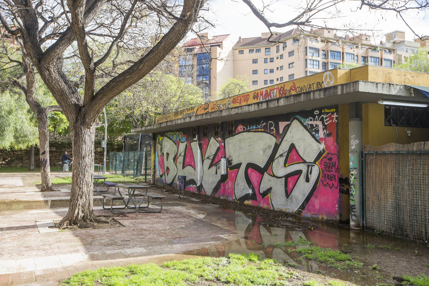 Fotos: El jardín del Turia mira al futuro