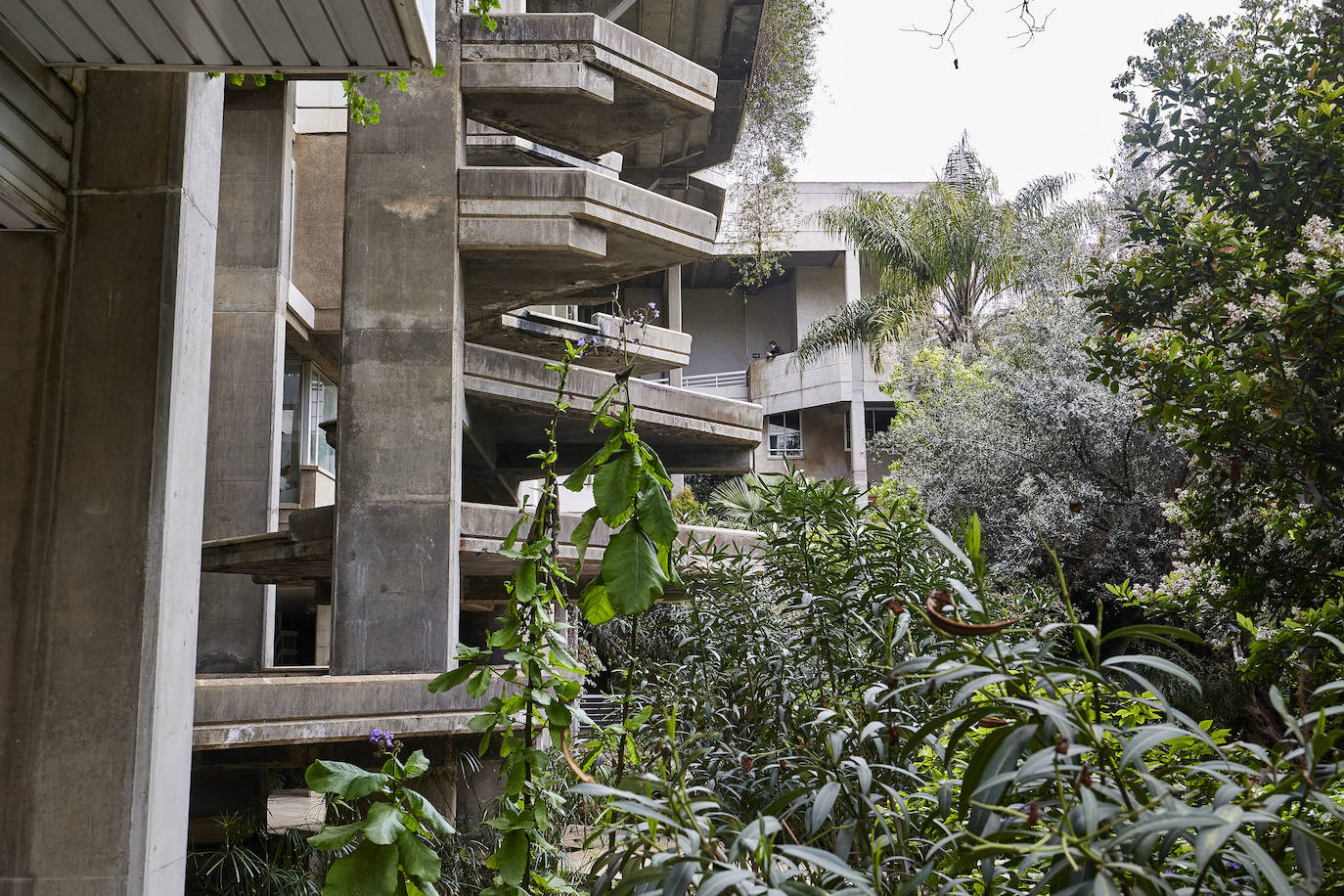 Fotos: Un vistazo al interior de Espai Verd