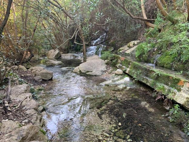 Paraje de Font de Lloret, en la zona de montaña de Marxuquera de Gandia.