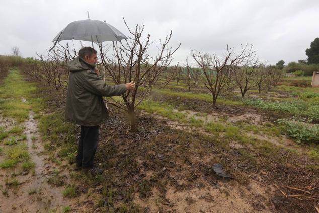 Fotos: Las tormentas arrecian sobre la Comunitat Valenciana